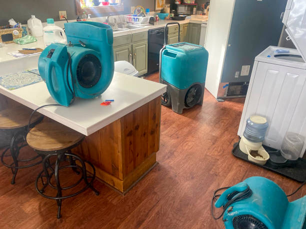 Trusted GA Water damage restoration Experts