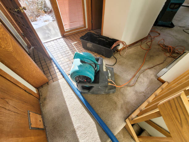 Best Sewage cleanup and water damage restoration  in Lakeview Estates, GA