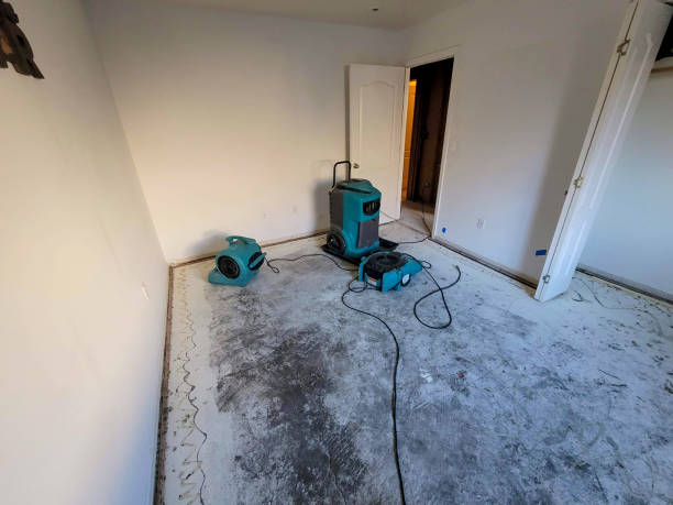 Best Fire Damage Restoration  in Lakeview Estates, GA