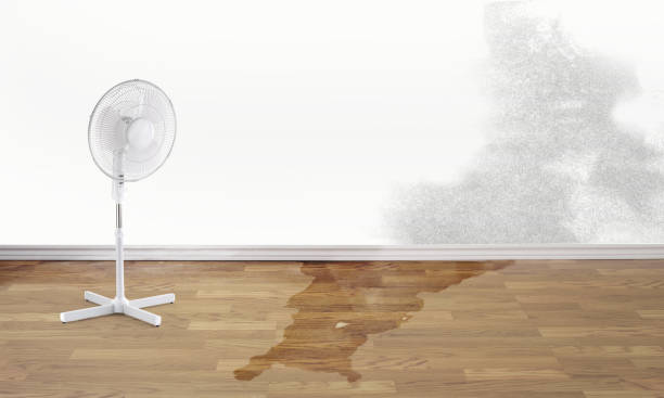 Best 24/7 water damage repair  in Lakeview Estates, GA