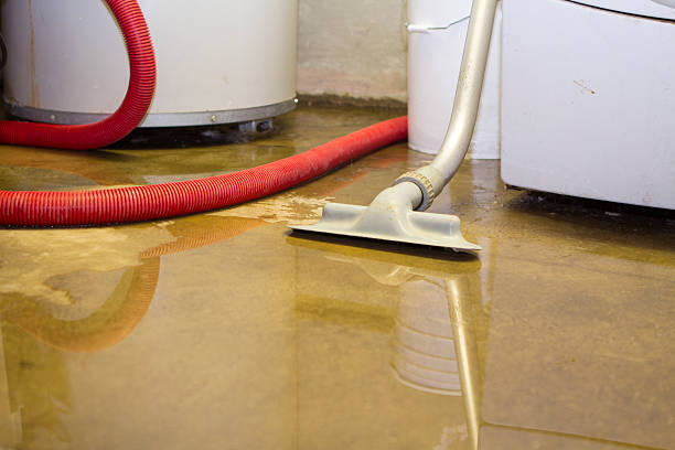 Best Water damage contractors near me  in Lakeview Estates, GA