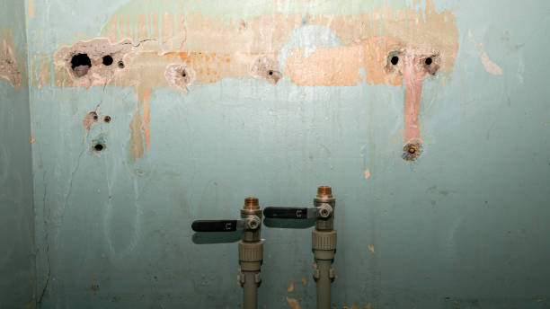 Best Flooded house restoration  in Lakeview Estates, GA