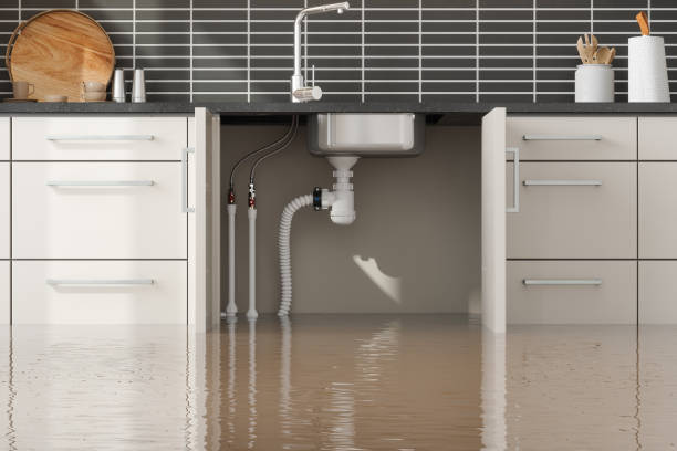 Best Ceiling water damage repair  in Lakeview Estates, GA