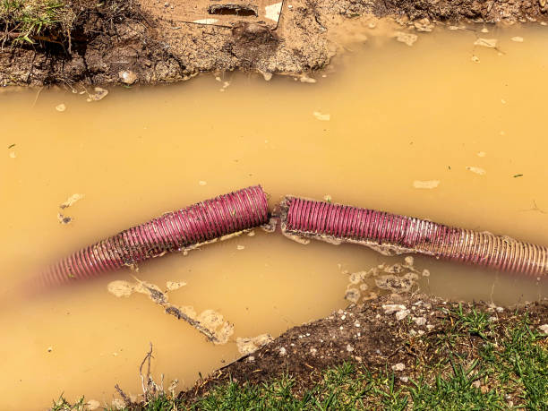 Best Basement water damage restoration  in Lakeview Estates, GA